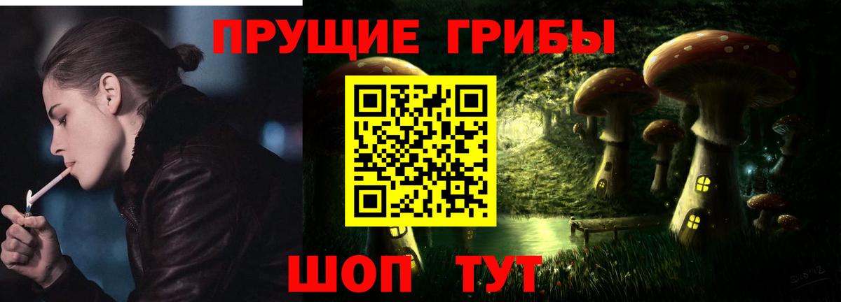 Алексеевка  где купить наркоту  Вход с VPN  Псилоцибиновые грибы Cubensis 